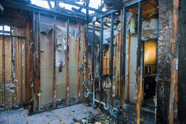 Professional Fire Damage Cleanup technician working in Deer Park, OH